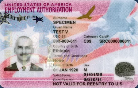 united states of america EMPLOYMENT AUTHORIZATION EAD Разрешение на работу США